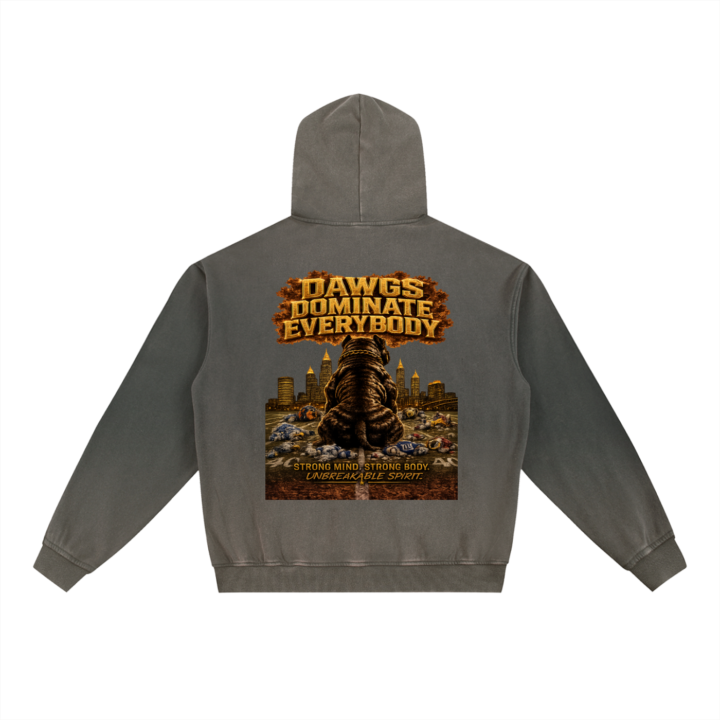 "We Play Ruff" Vintage Washed Gradient Fleece Hoodie