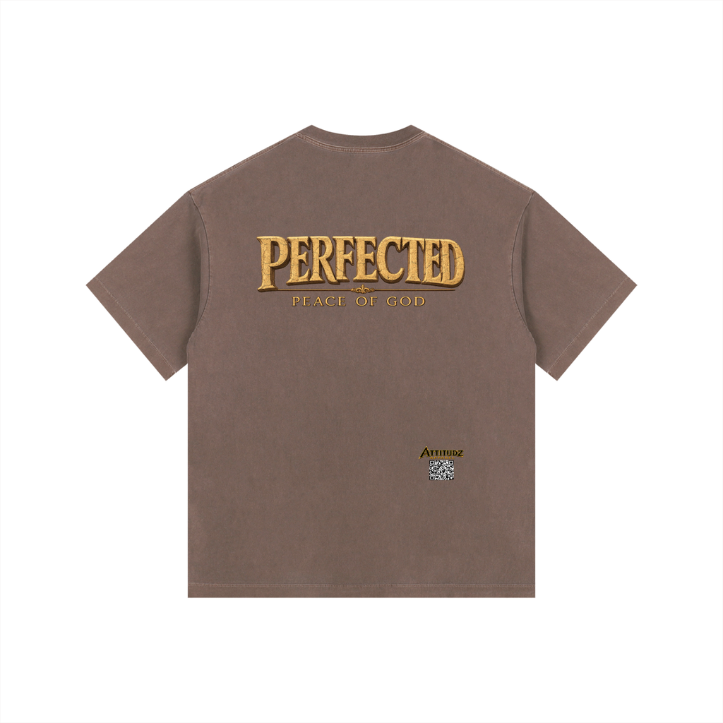 Perfected" Vintage Washed Oversized Cotton T-Shirt